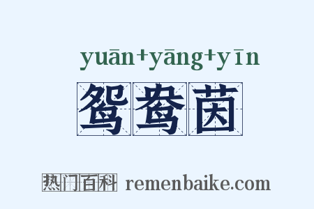 鸳鸯茵是什么意思的图片